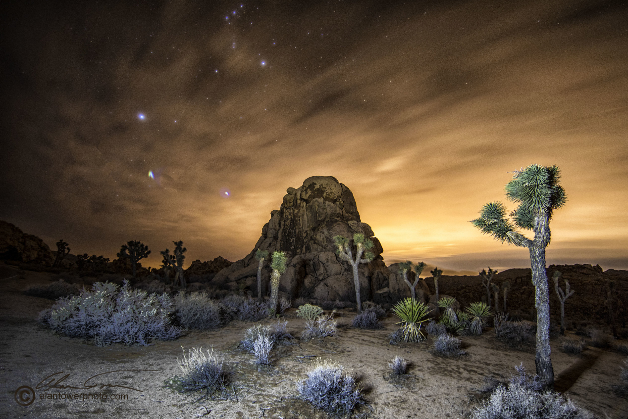 Night-scene-in-Joshua-Tree.jpg