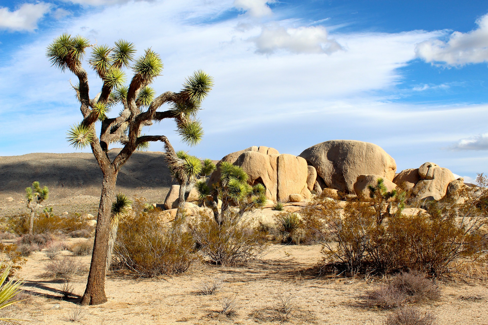 Mojave-Desert.jpg