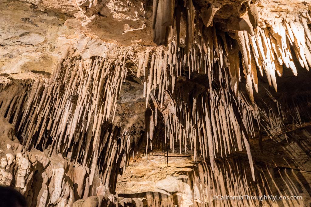 mitchell-caverns-24.jpg
