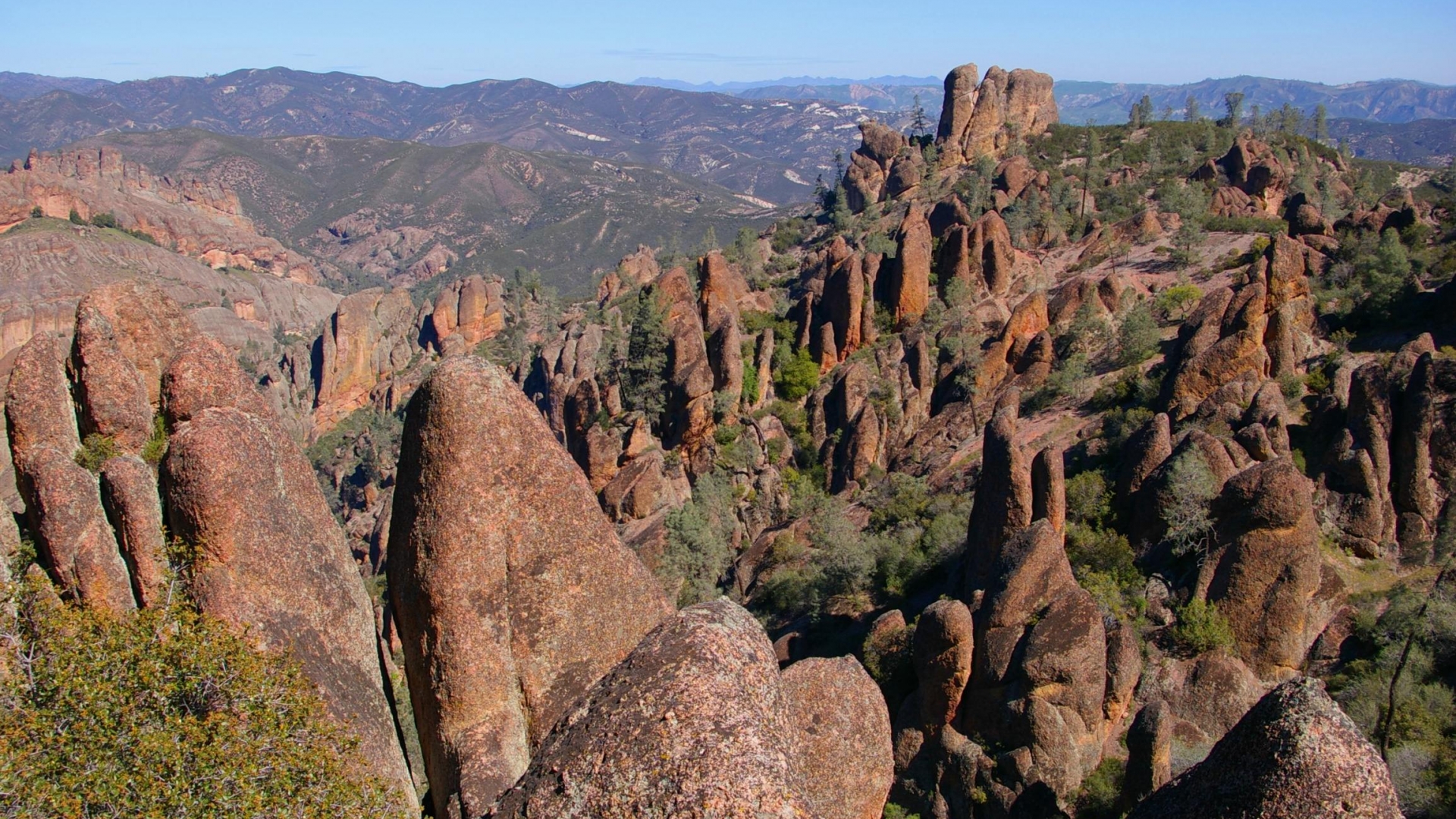 Pinnacles-Main.jpg