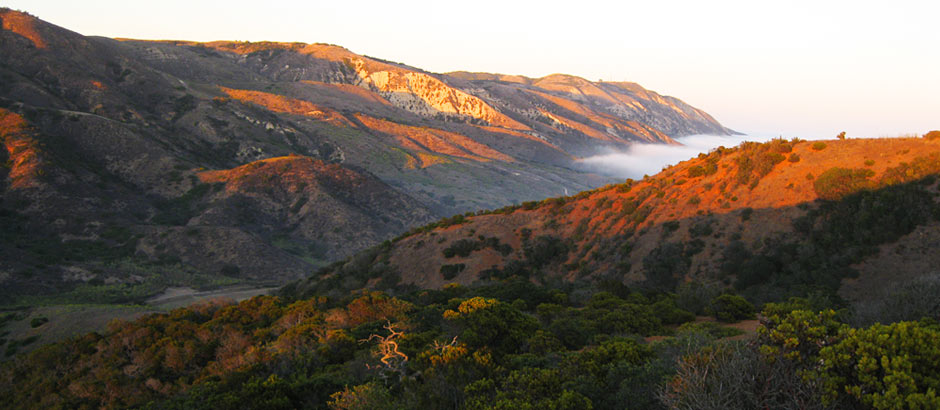 Santa Cruz Island.jpg