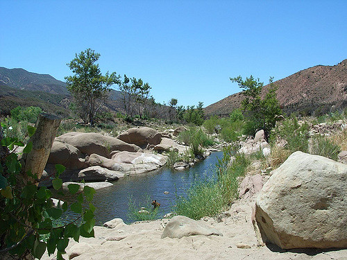 sespe.jpg