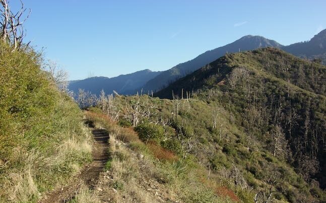 Strawberry_Peak_Trail_San_Gabriel_Mountains_Hike_1320.jpg