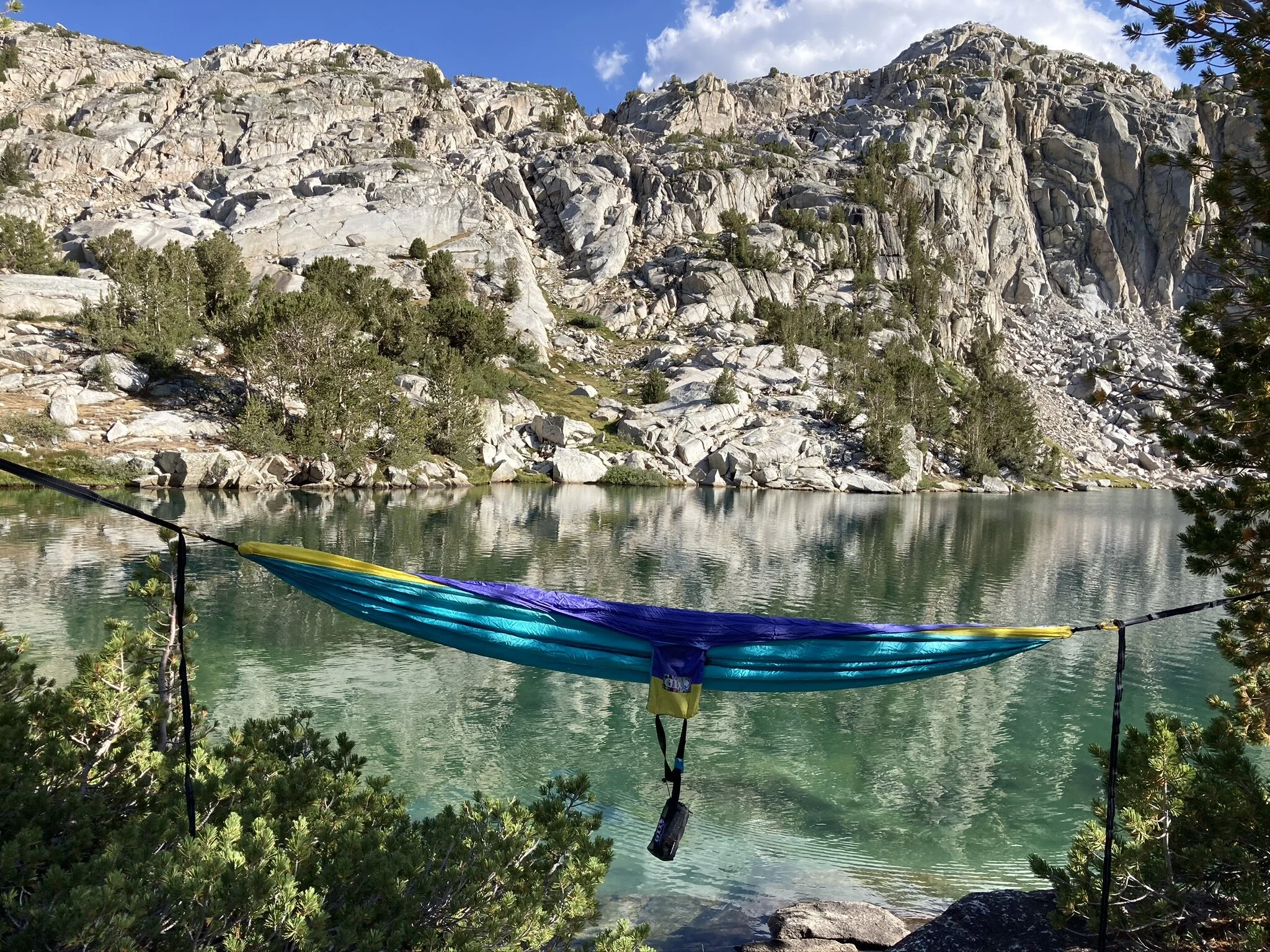 So You Want to Be a Lawyer? Conversation with Dr. Darry Sragow ft. an Environmental Law Guest Speaker