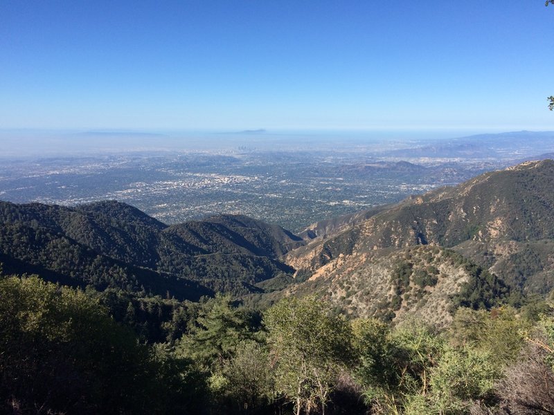 mt wilson trail.jpg