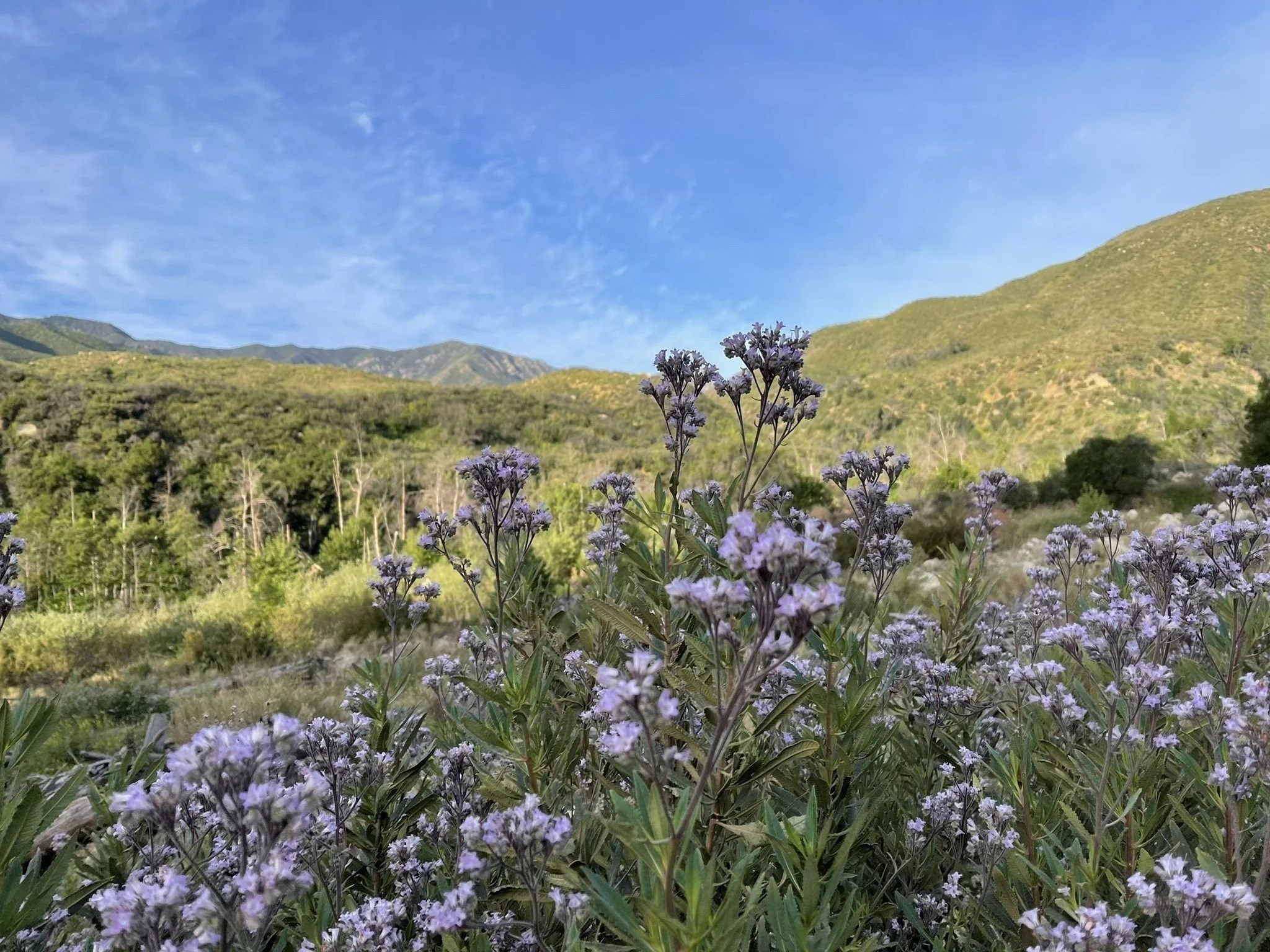 Matilija Falls w/ Jim Burklo {Religion}