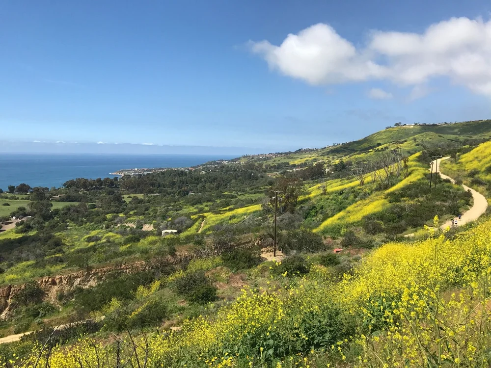 Portuguese Bend w/ MYSTERY PROFESSOR! — Peaks & Professors