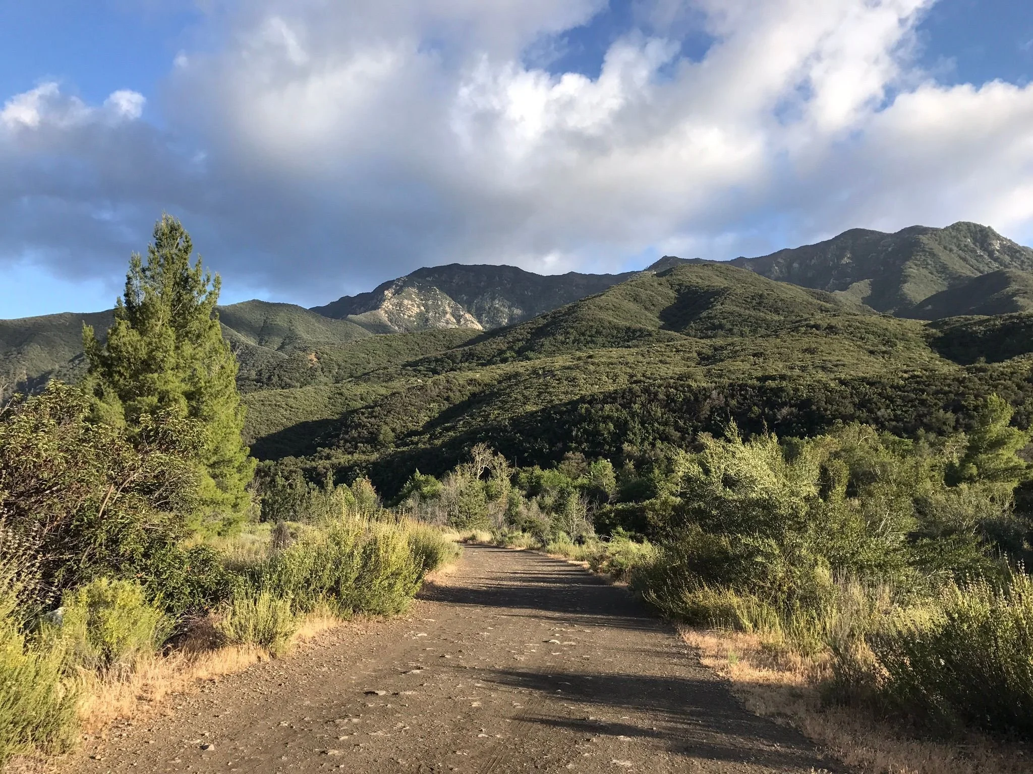 Matilija Falls w/ Jim Burklo {Religion}