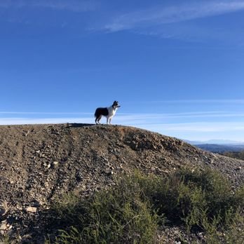 dog canyon.jpg