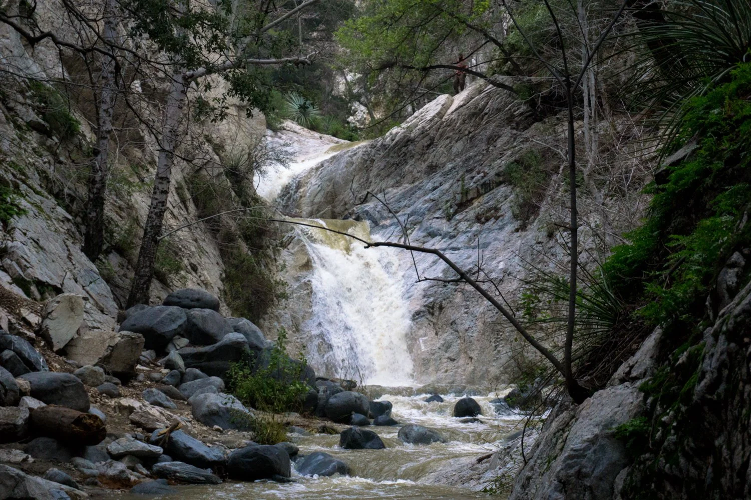 arroyo-seco-switzer-falls-10.jpeg