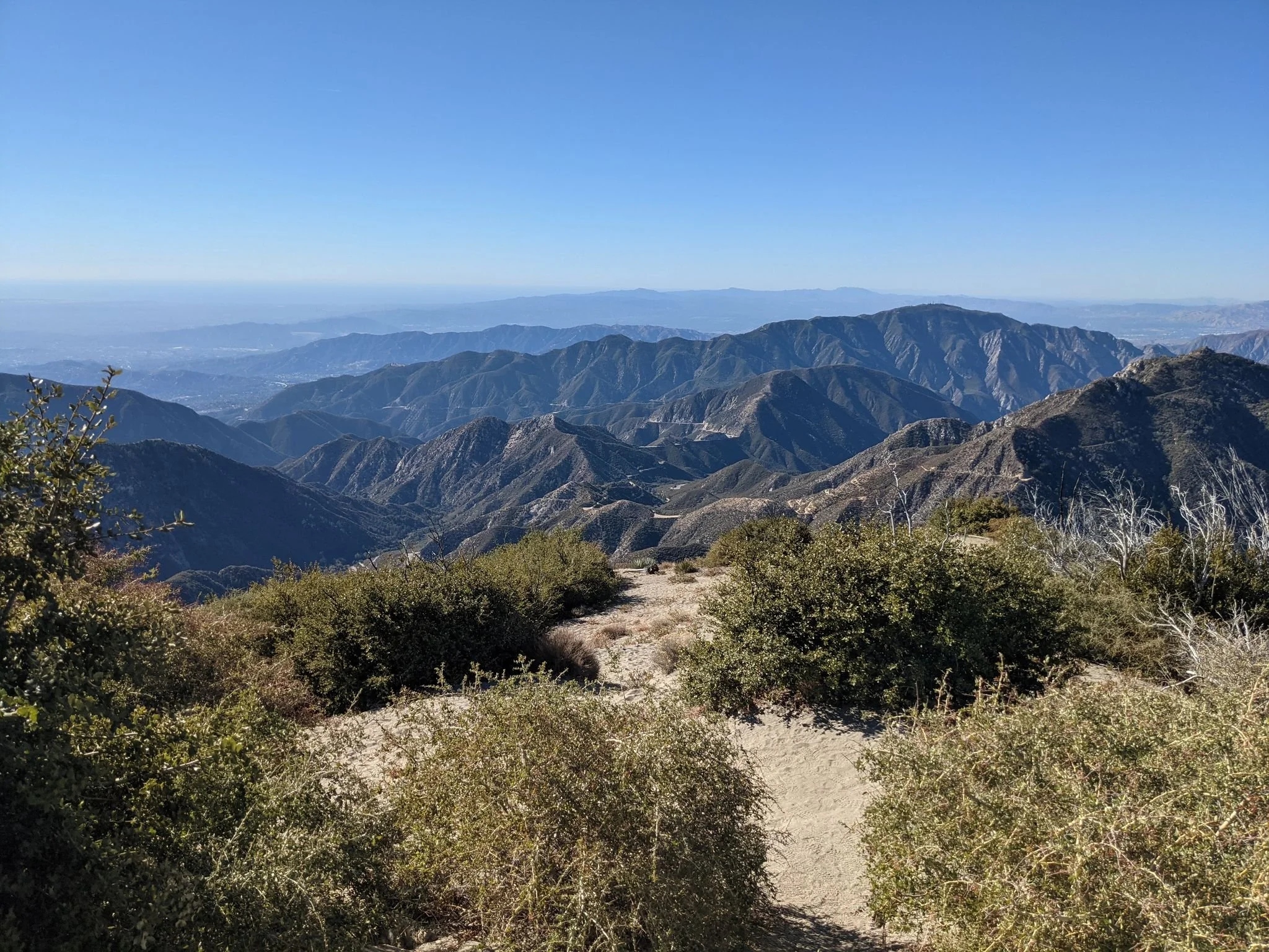 Strawberry Peak w/ Kristof Aldenderfer {Information Technology Program}