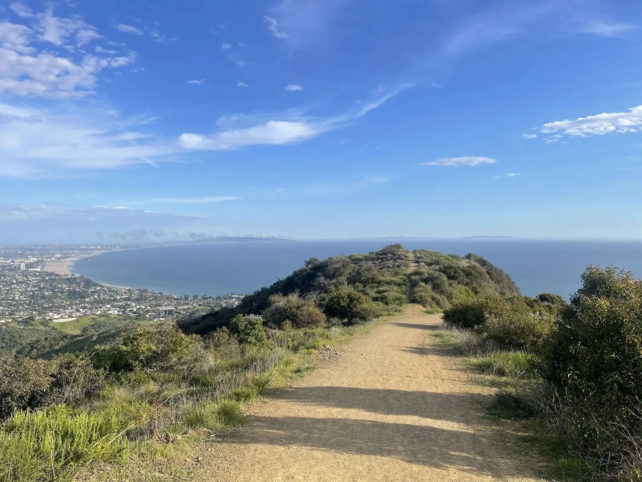 Paseo Miramar w/ Rebecca Broyer {Chemistry}