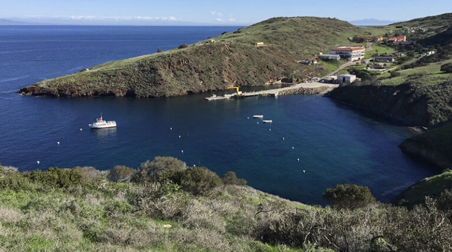 Catalina Island w/ David Hutchins {Biology}