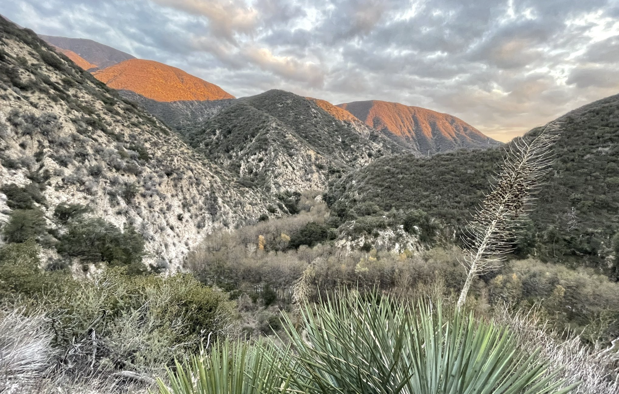 Gabrielino Trail w/ Nate Sloan {Musicology}