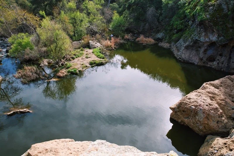 Rock Pool & Century Trail w/ Matthew Hill {Economics}