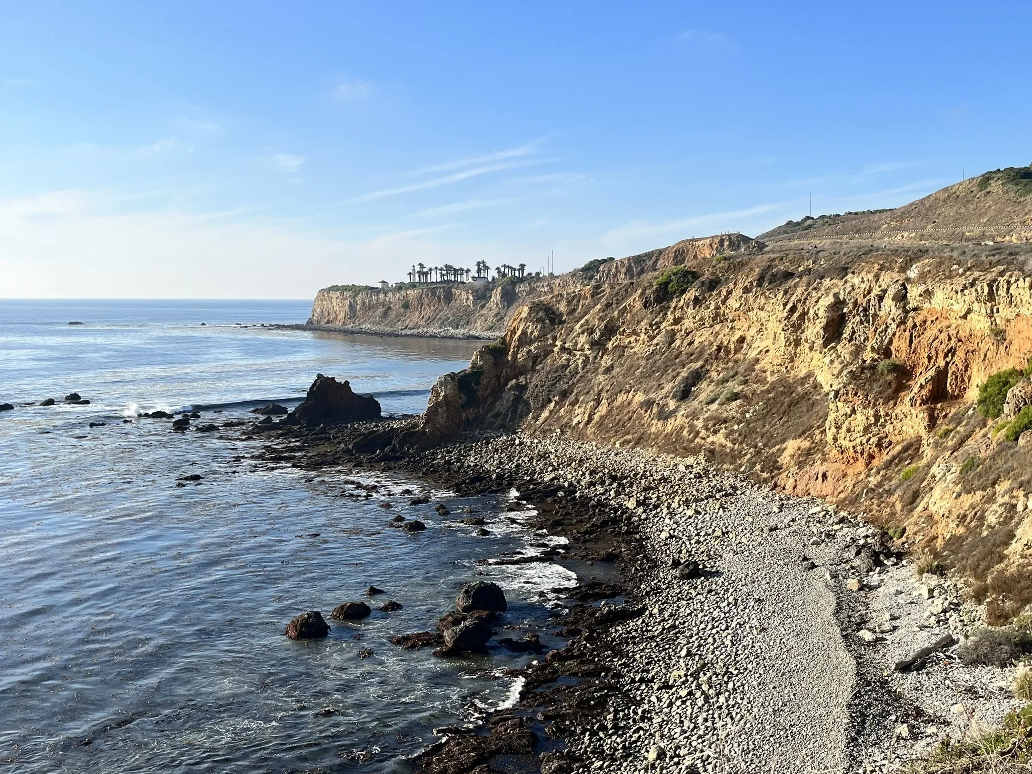Point Vincente Beach w/ Gioia Polidori {Human Biology}