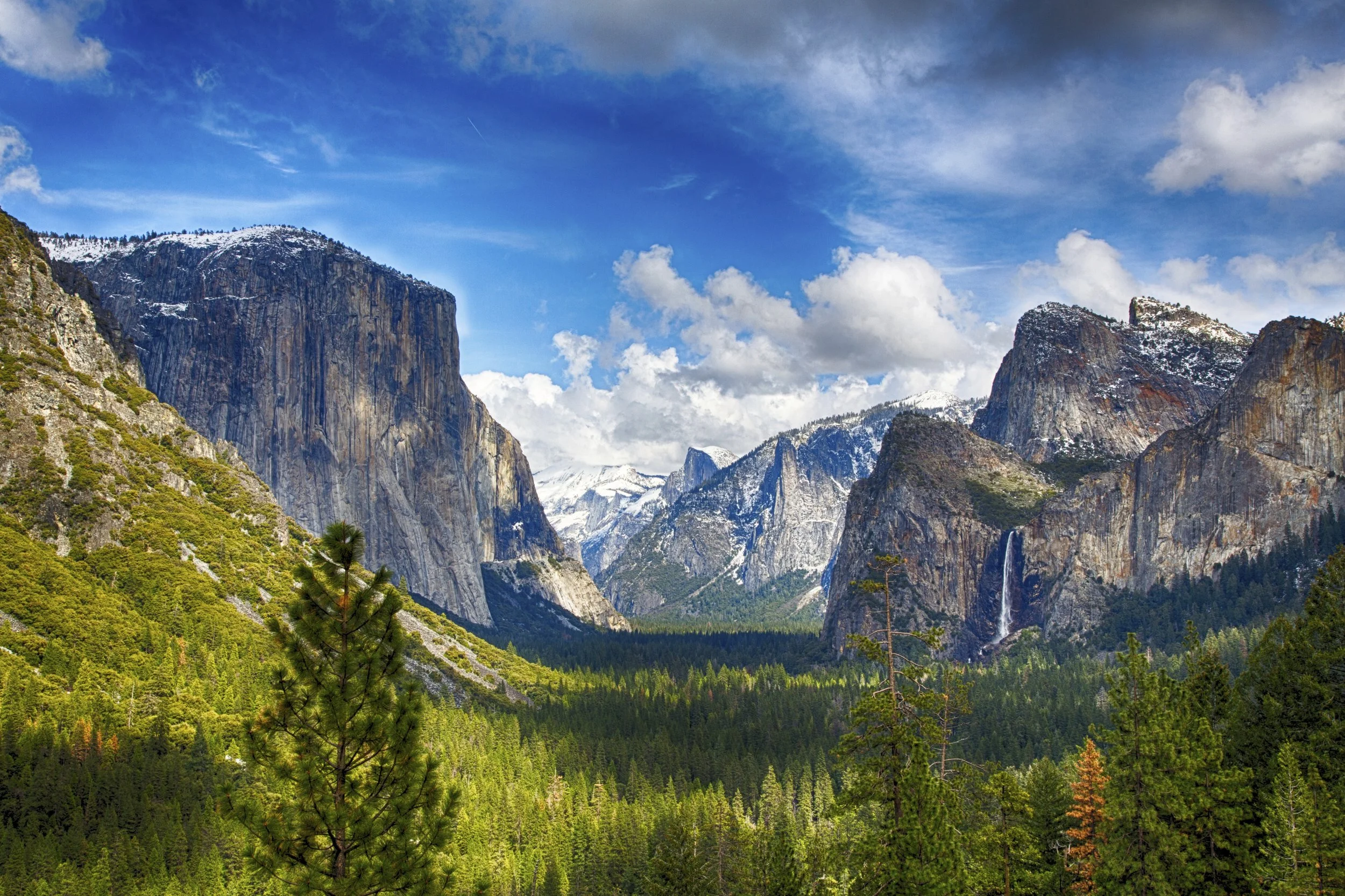 Yosemite National Park w/ Suhaib Abdurahman {Psychology}