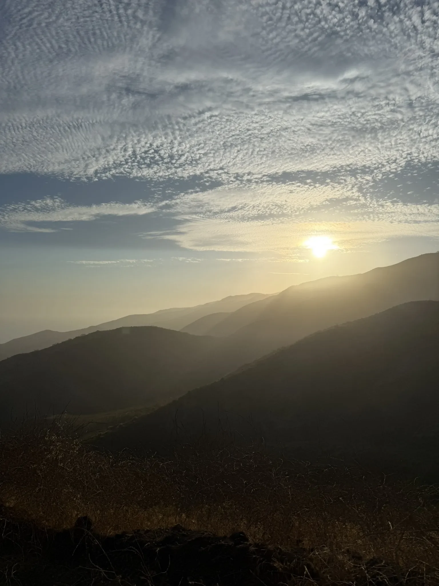 Los Liones Trail w/ Eden Goldman {Physical Education}