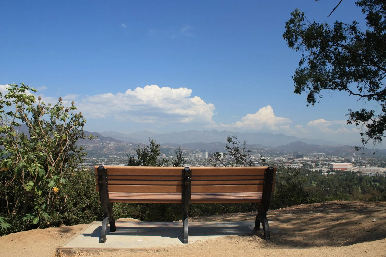 bee-rock-and-old-la-zoo-14.jpg