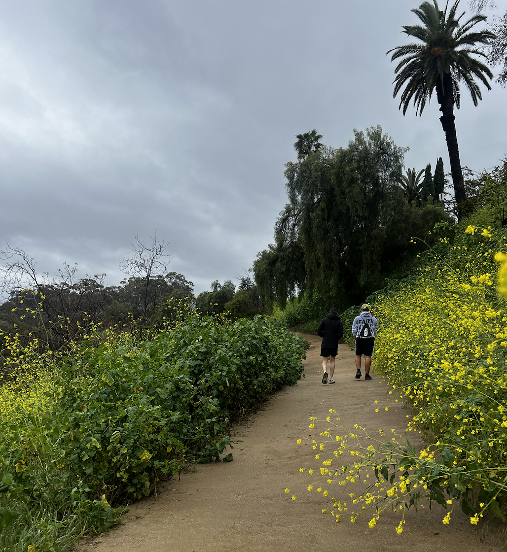 Screen Shot 2026-01-16 at 9.52.39 PM.png