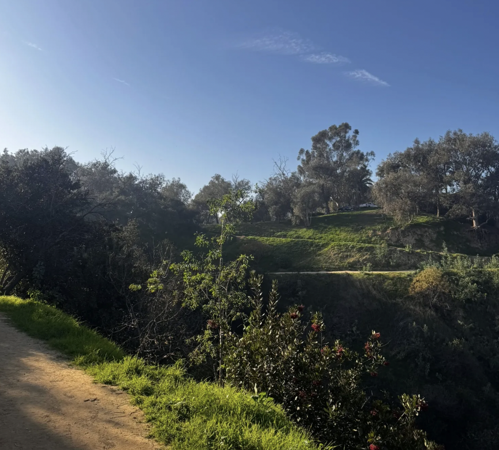 Screen Shot 2026-01-16 at 9.50.20 PM.png