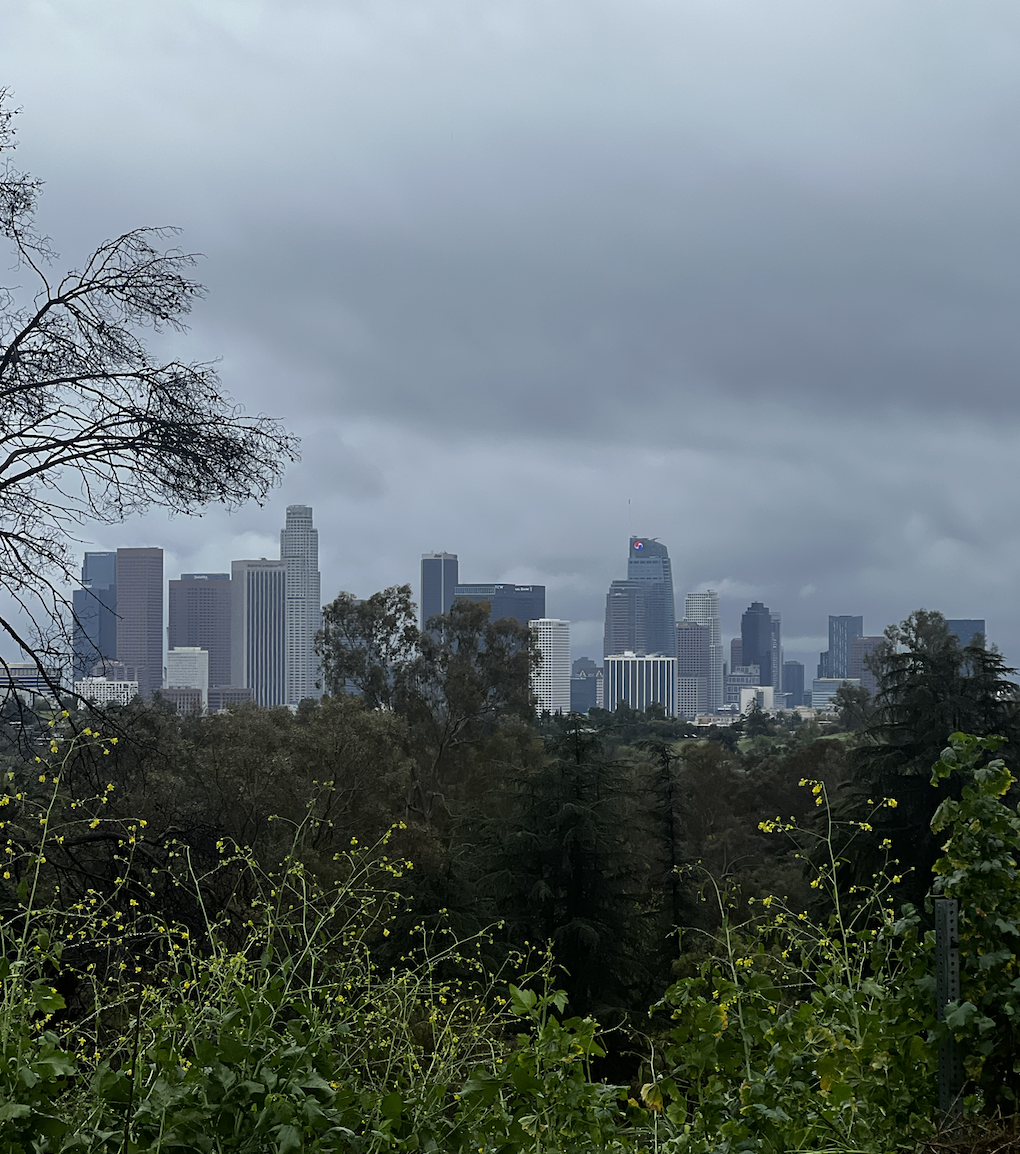 Screen Shot 2026-01-16 at 9.55.30 PM.png