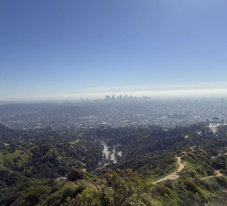 Screenshot 2026-01-22 182740.png