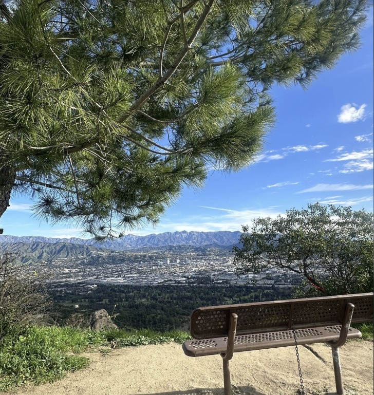 Screenshot 2026-01-22 182607.png