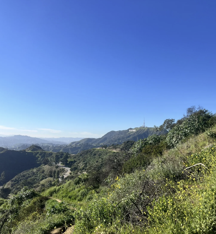 Mt. Hollywood w/ Jake Monaghan {Philosophy} 