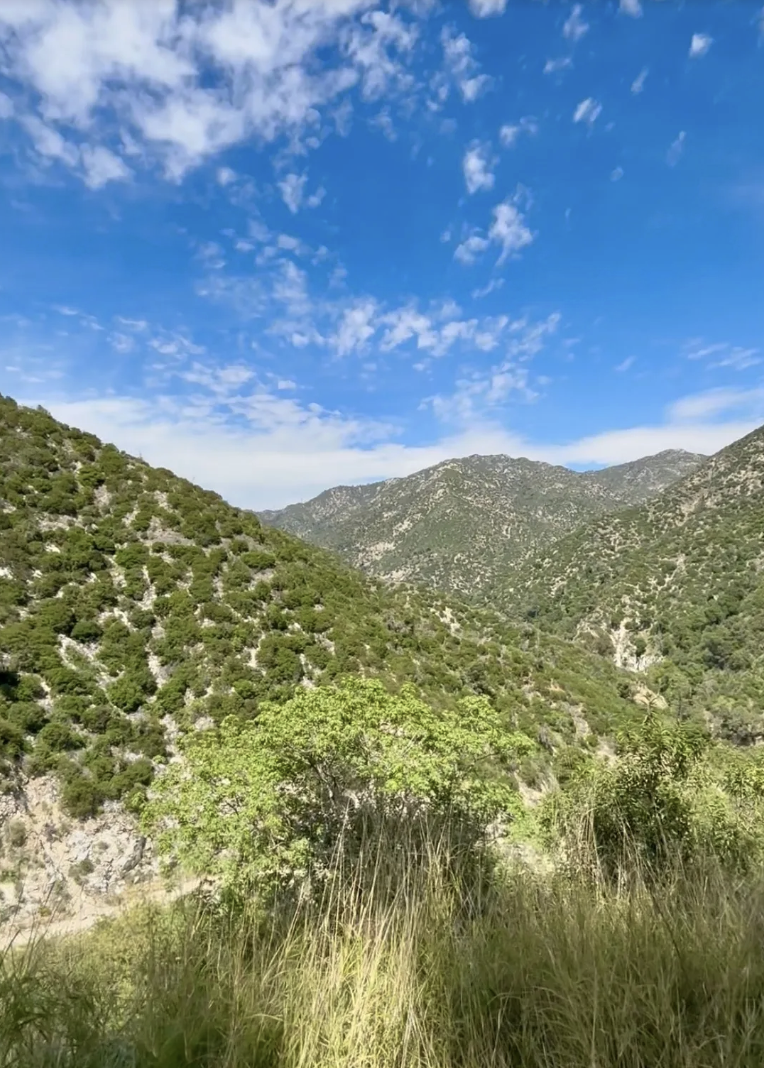 Screenshot 2026-04-01 at 9.49.12 PM.png