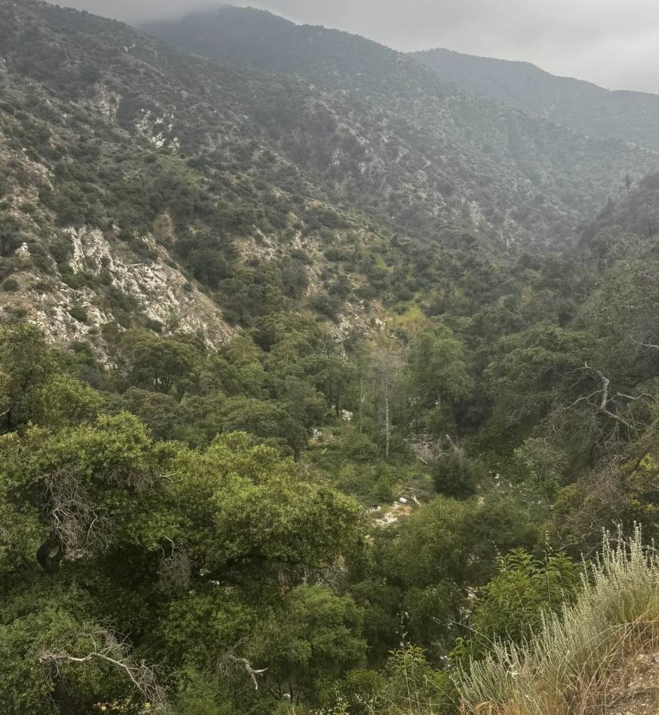 Screenshot 2026-04-01 at 9.48.46 PM.png