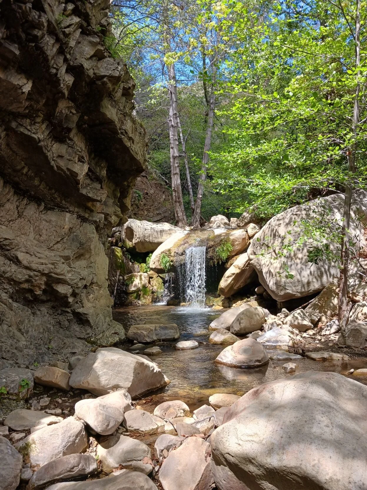 Sisar Canyon w/ Rev. Jim Burklo