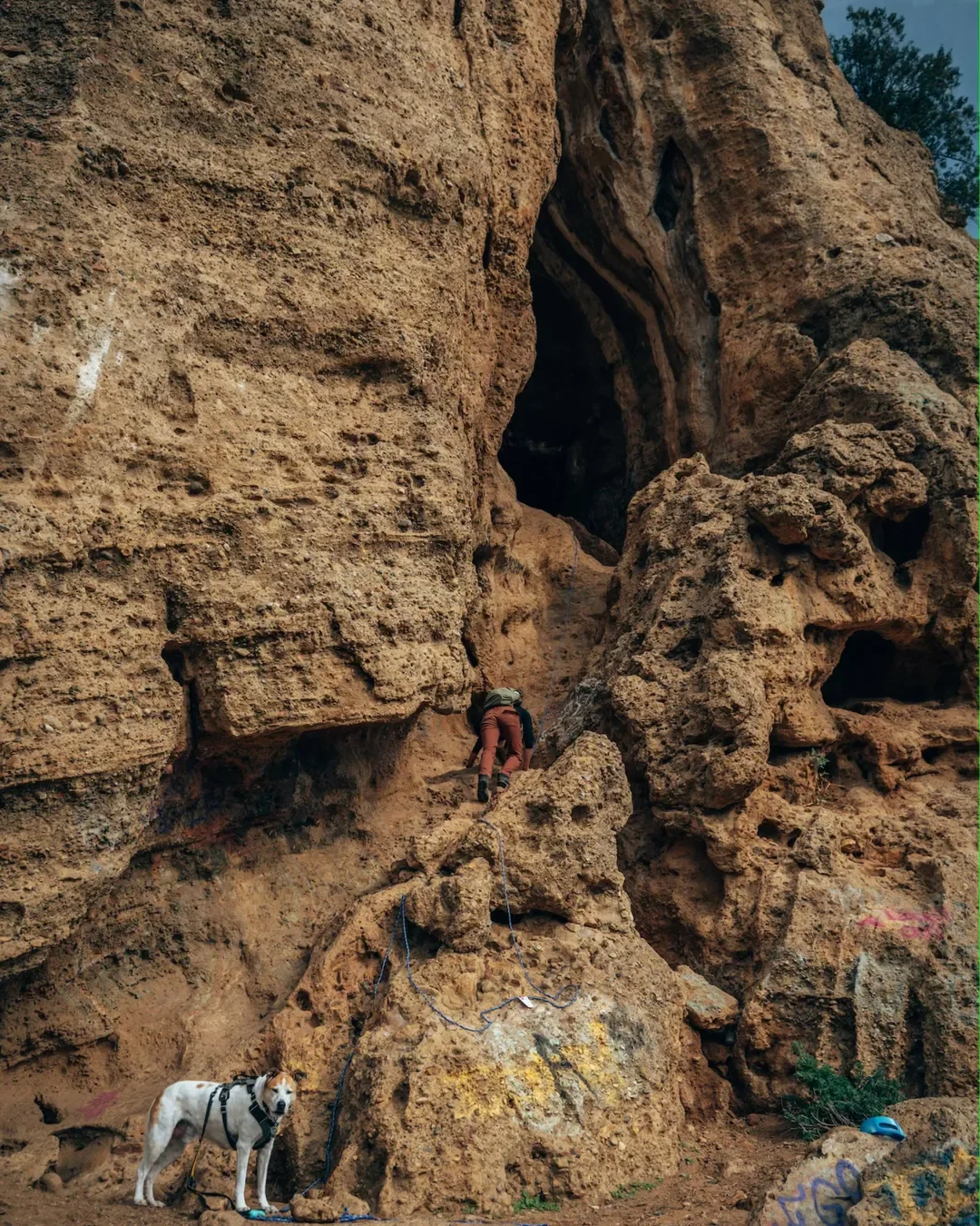 Cave of Munits w/ Terry Church {Regulatory &amp; Quality Sciences} 