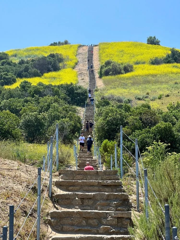 pic 1 culver city stairs.jpg