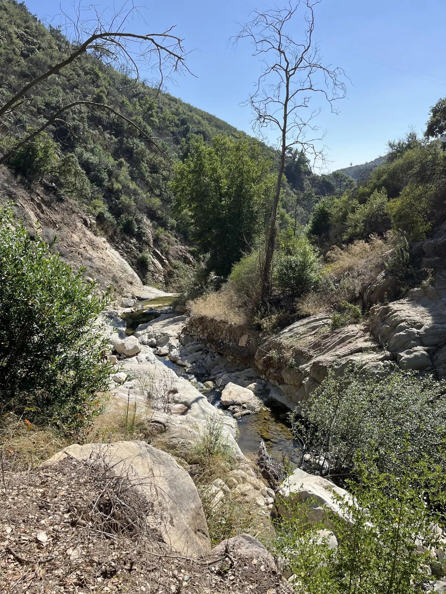 SantaYnez5.webp