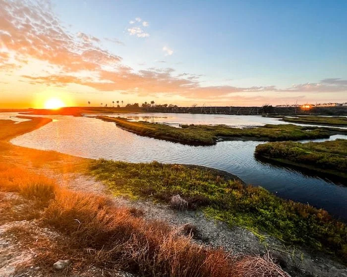 wetlands.jpg