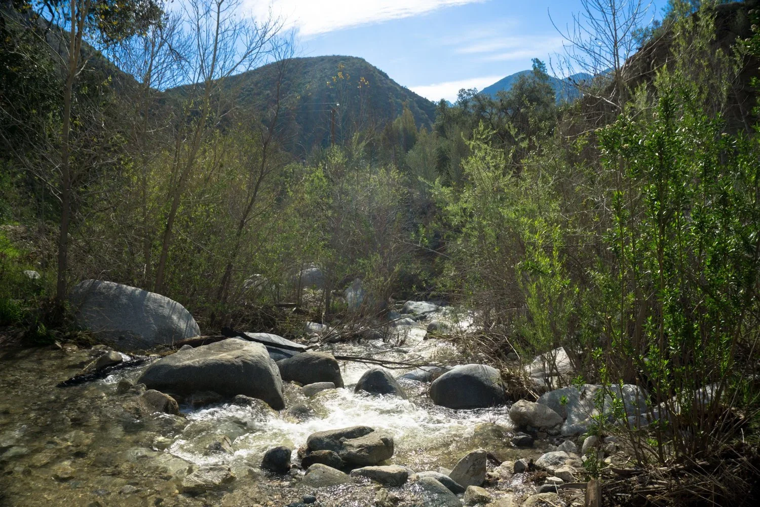 trail4.webp