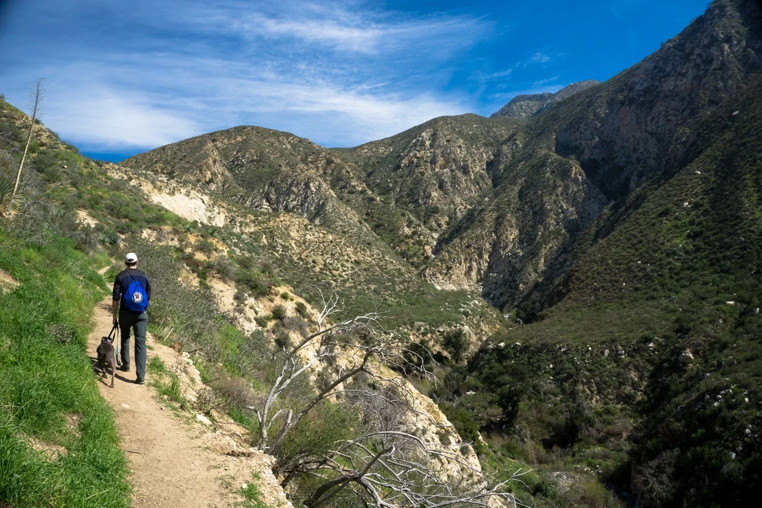 trail3.webp