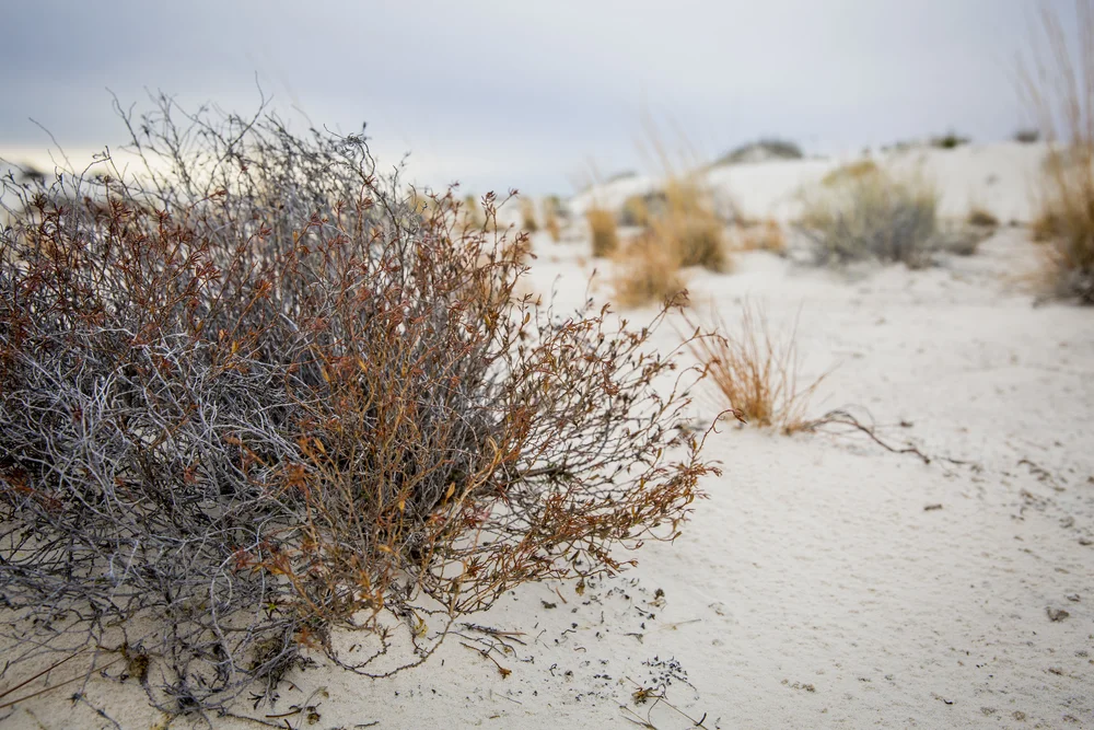 2019 Spring Break-059.JPG