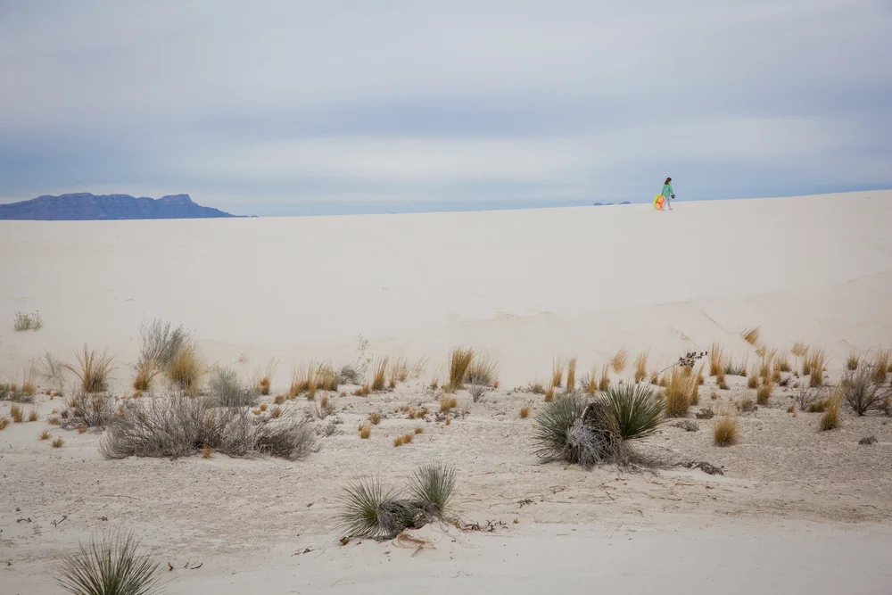 2019 Spring Break-075.JPG