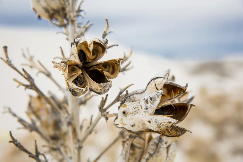 2019 Spring Break-091.JPG