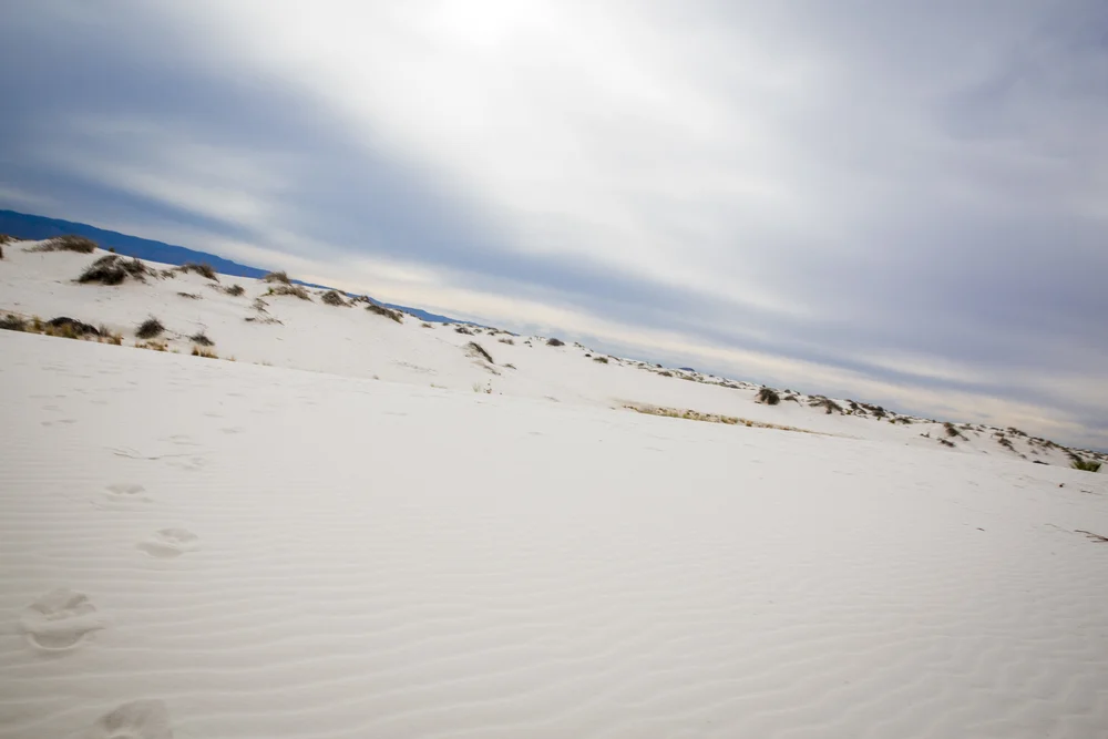 2019 Spring Break-093.JPG