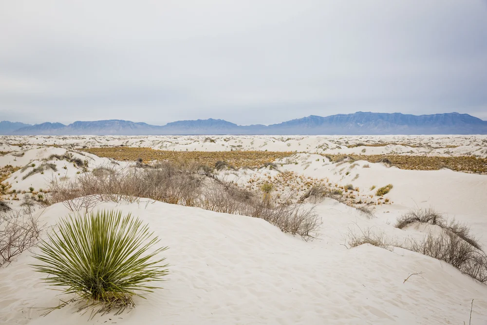 2019 Spring Break-109.JPG