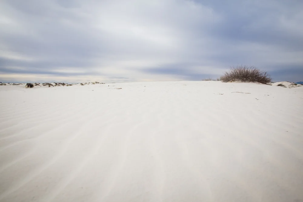 2019 Spring Break-095.JPG