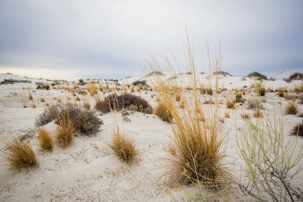 2019 Spring Break-057.JPG