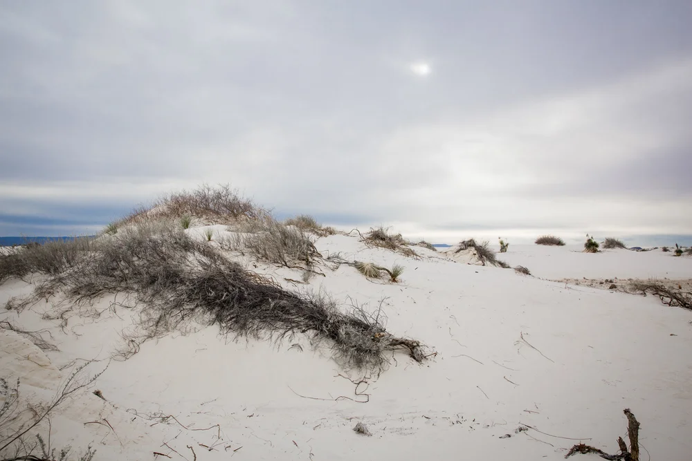 2019 Spring Break-080.JPG