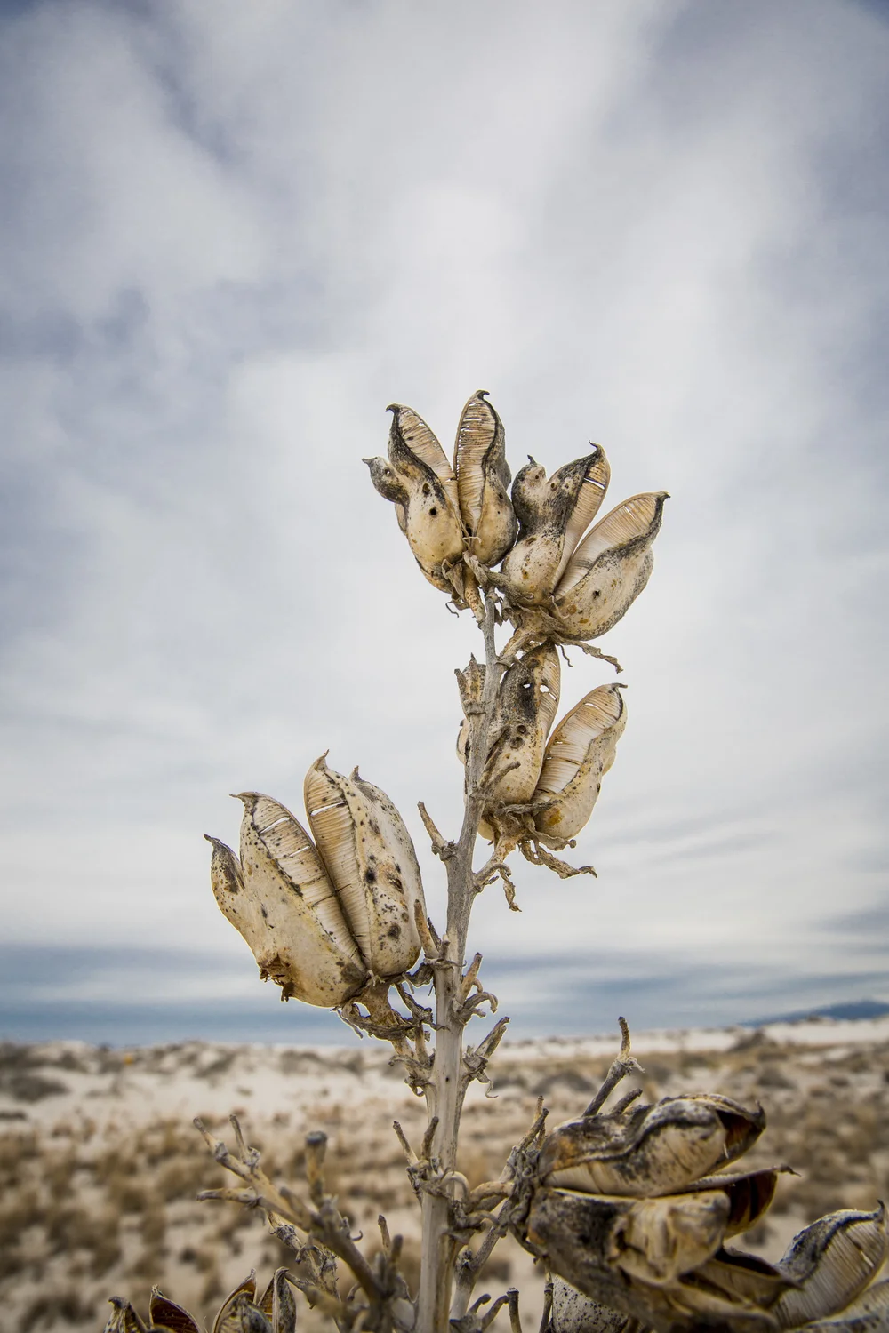 2019 Spring Break-089.JPG