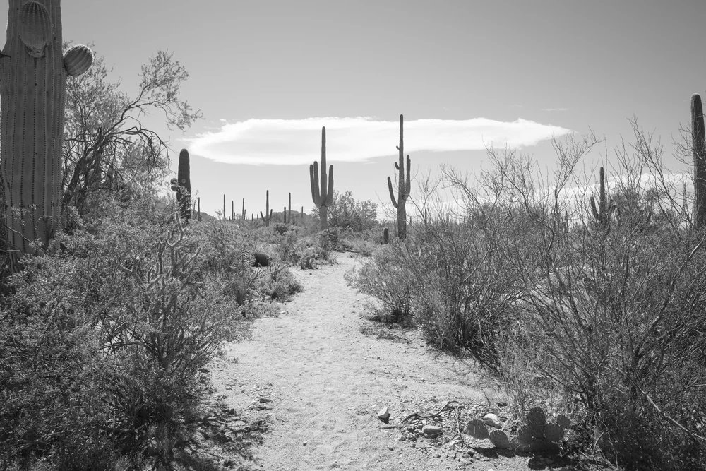 2019 Spring Break-119.JPG