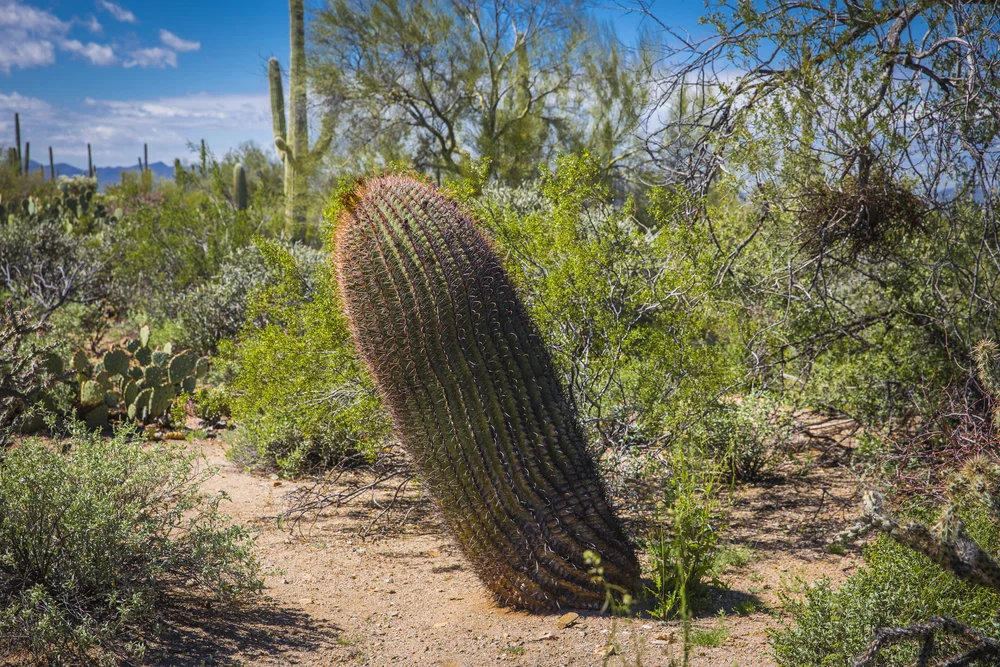 2019 Spring Break-120.JPG