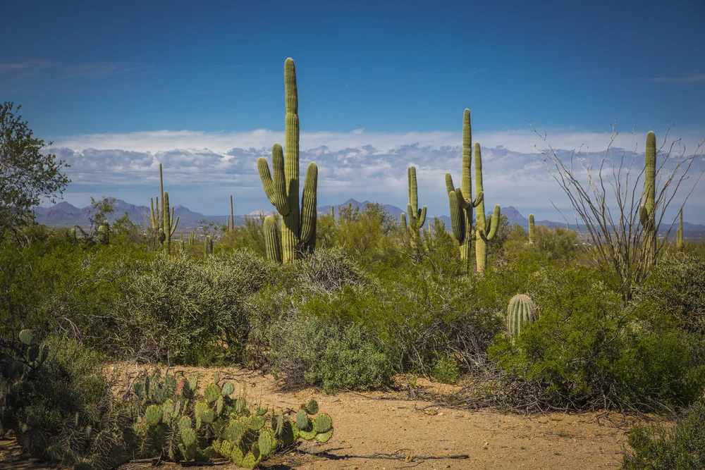 2019 Spring Break-122.JPG